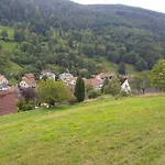 Mit Balkon- Garten Und Talblick By Interhome * Natzwiller